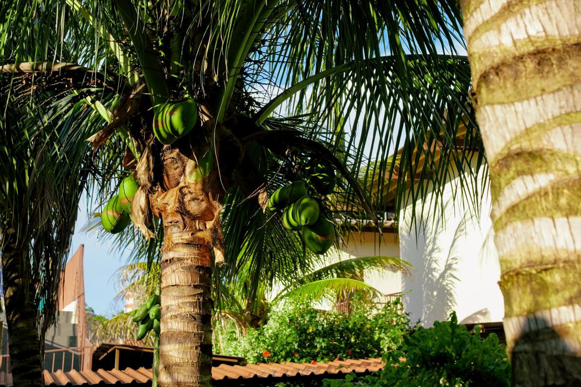 Velinn Hotel Natureza Foz Foz do Iguaçu Kültér fotó