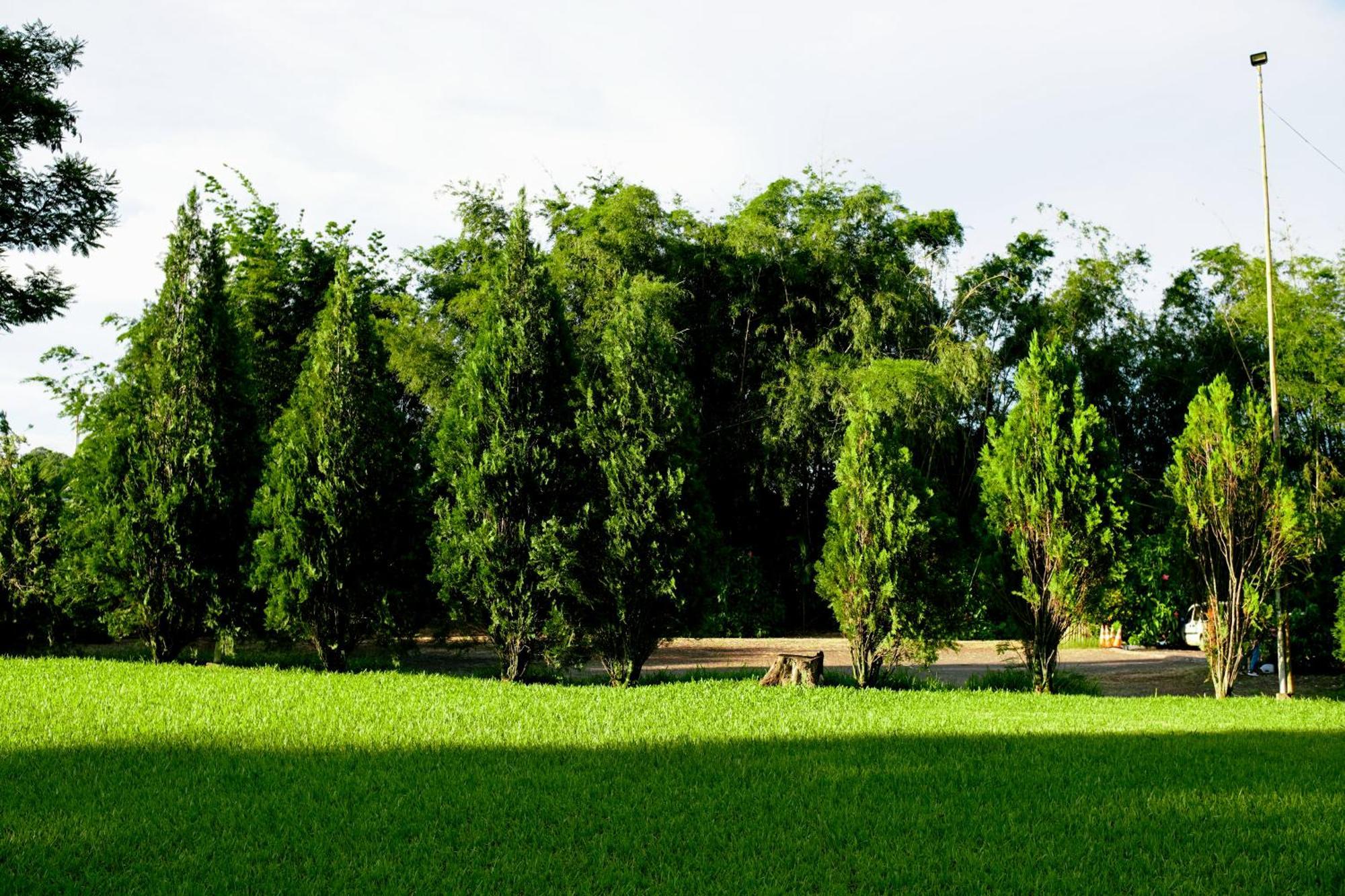 Velinn Hotel Natureza Foz Foz do Iguaçu Kültér fotó